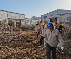山東魯野鋼結(jié)構(gòu)工程有限公司組織員工進(jìn)行挖樹植樹活動(dòng)